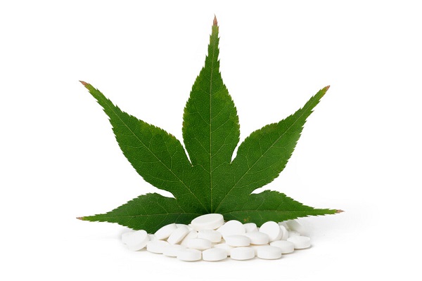 In de toekomst meer medicatie op basis van cannabis